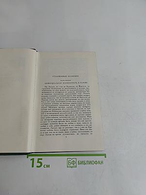 Сцены провинциальной жизни