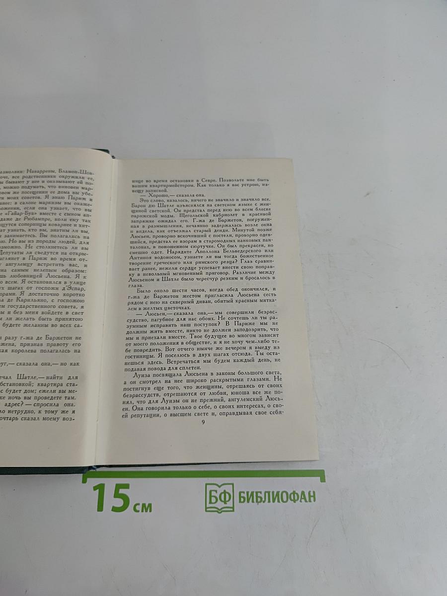 Сцены провинциальной жизни