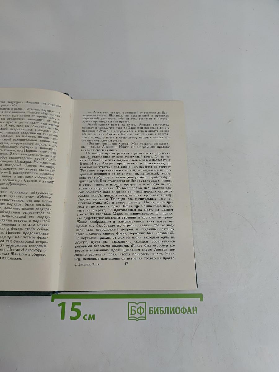 Сцены провинциальной жизни