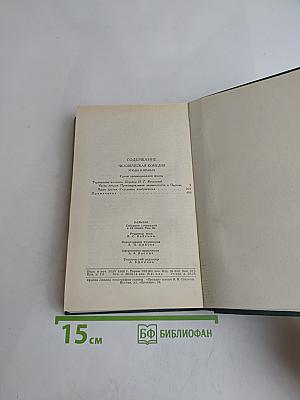 Сцены провинциальной жизни