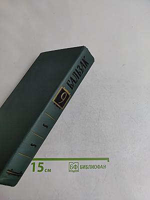 Сцены провинциальной жизни
