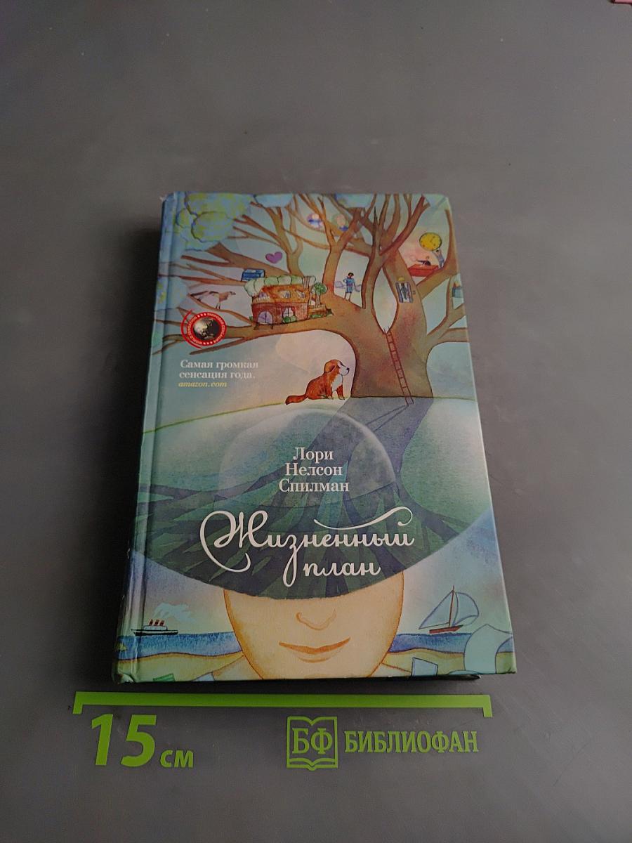 Жизненный план