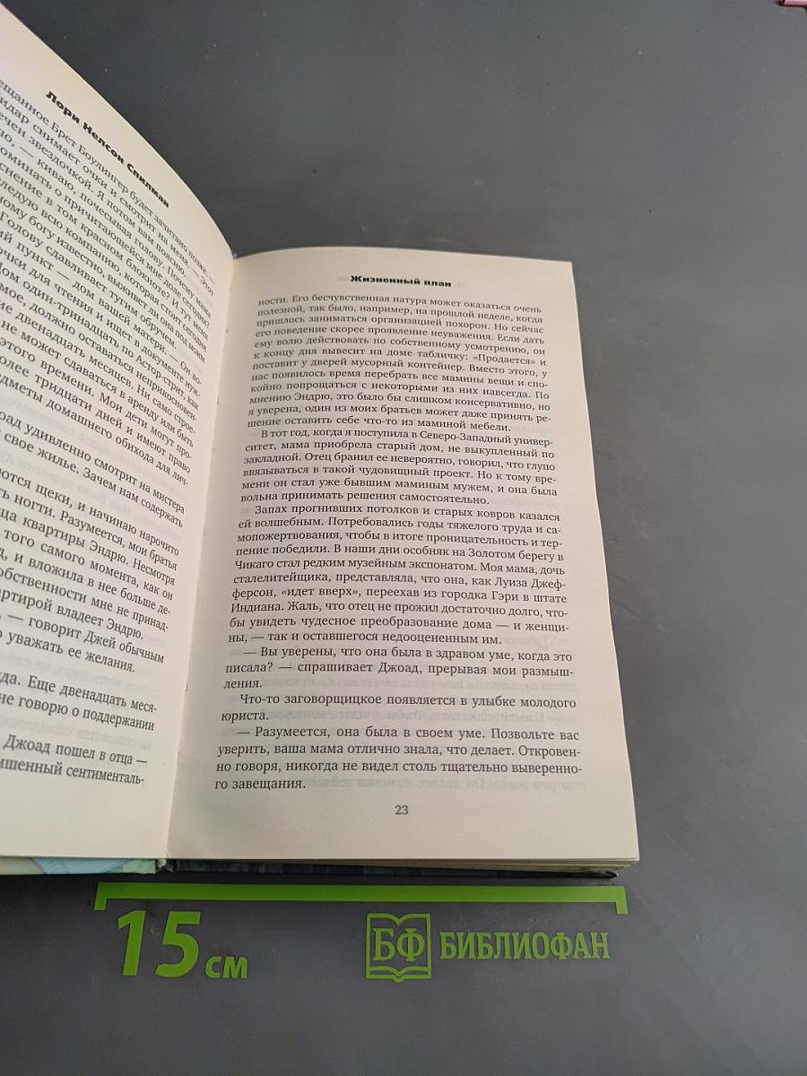Жизненный план