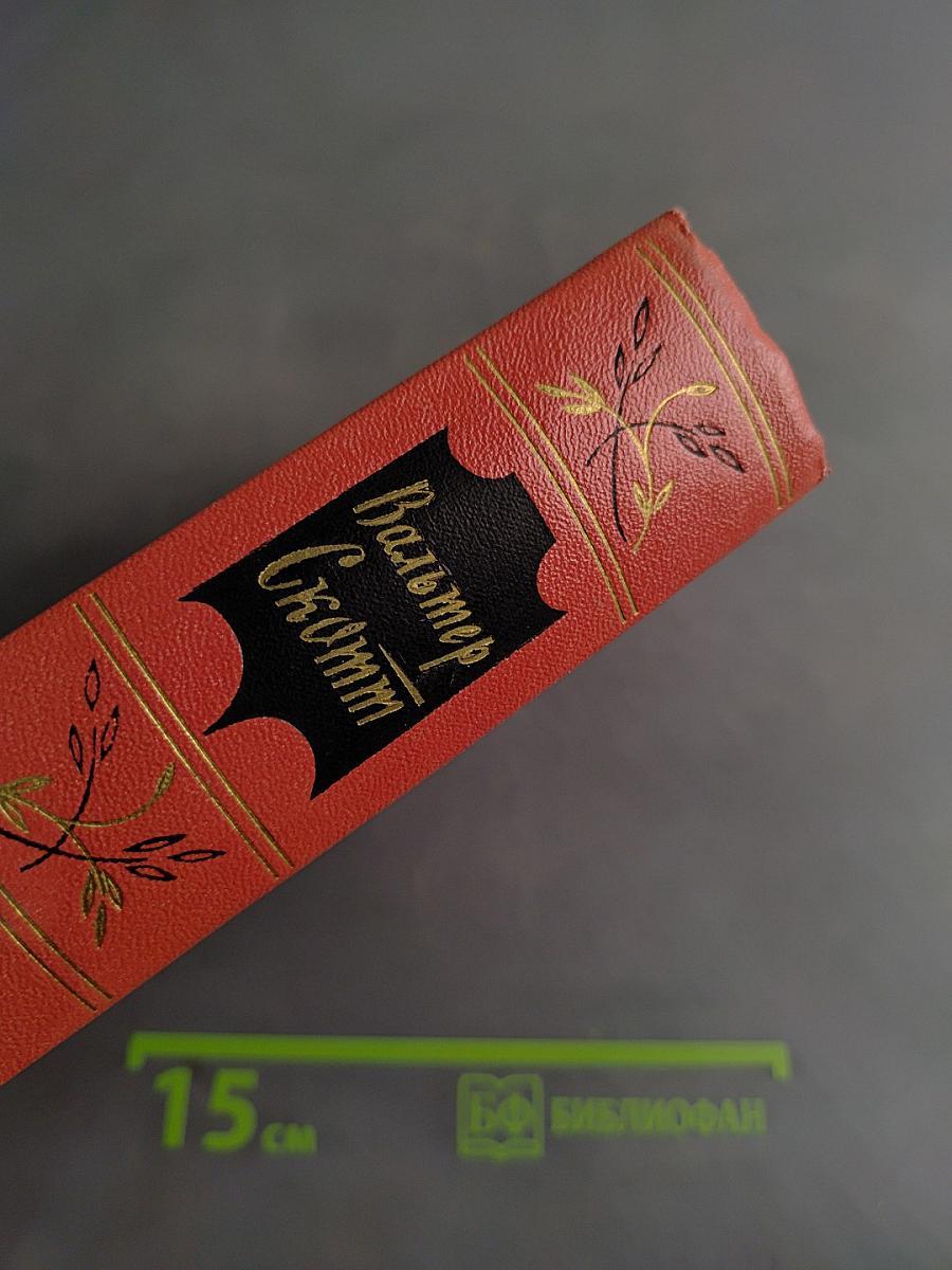 Собрание сочинений. Том семнадцатый. Талисман. Поэмы и стихотворения