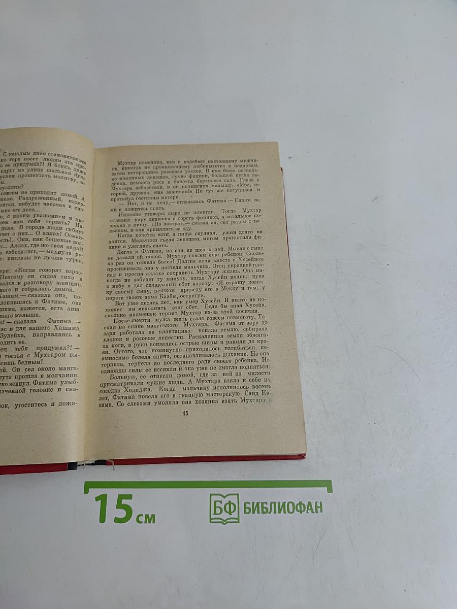 Племнно-кожий мальчик в поисках счастья