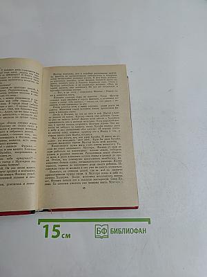 Племнно-кожий мальчик в поисках счастья