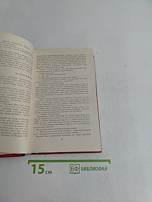 Племнно-кожий мальчик в поисках счастья