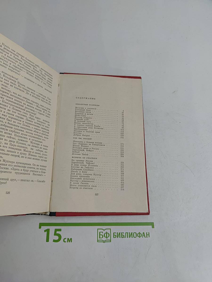 Племнно-кожий мальчик в поисках счастья
