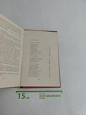 Племнно-кожий мальчик в поисках счастья