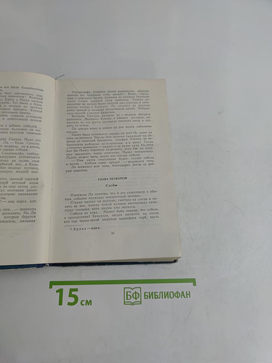 Далекий край. К океану