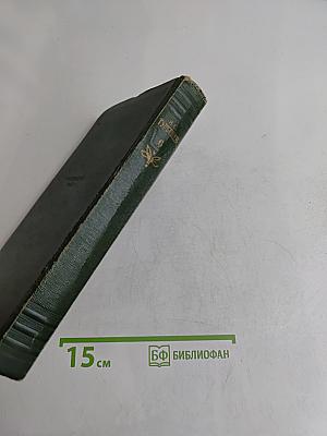 Собрание сочинений. Том шестой. Повести и рассказы 1844-1850 годов