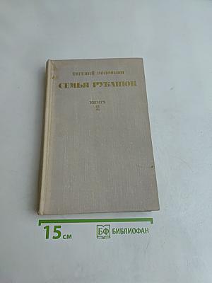 Семья рубашек. Книга 2