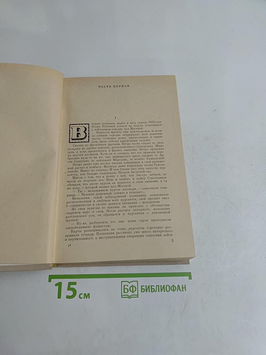 Семья рубашек. Книга 2