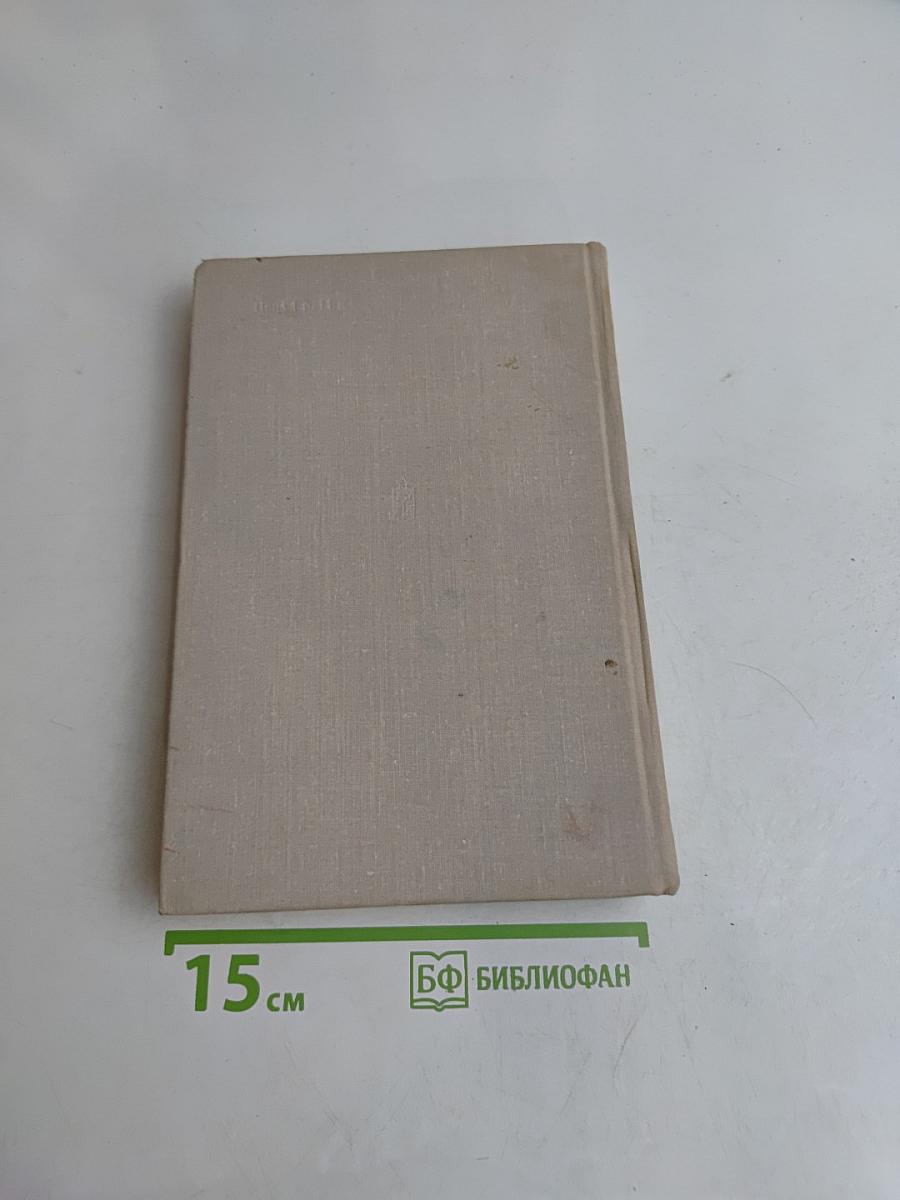 Семья рубашек. Книга 2