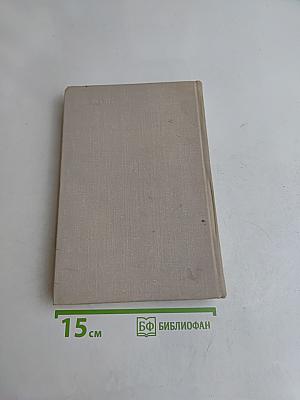 Семья рубашек. Книга 2