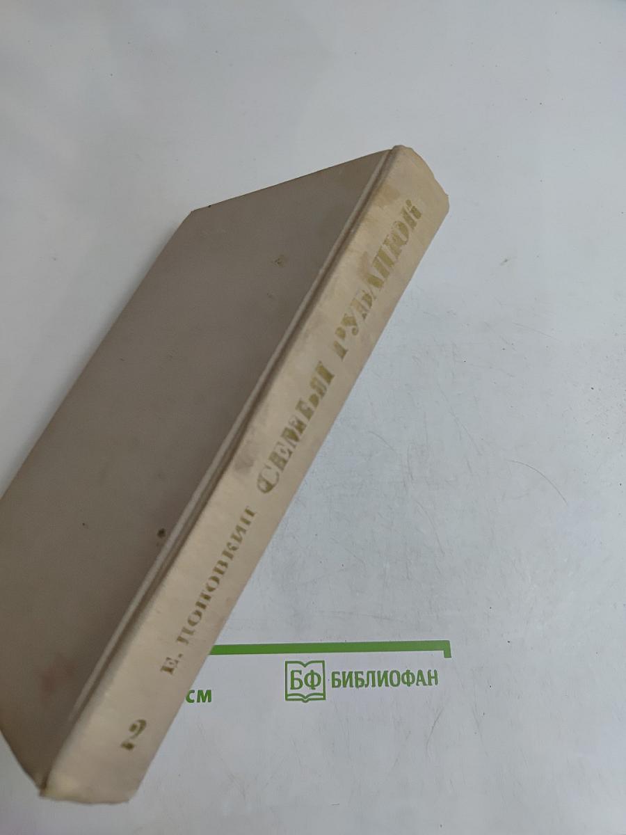 Семья рубашек. Книга 2