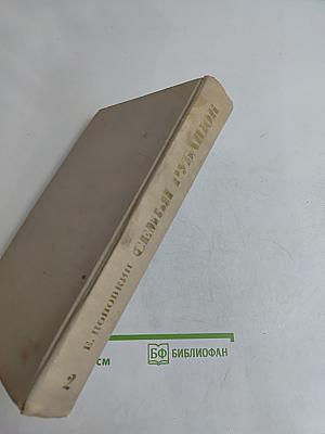 Семья рубашек. Книга 2