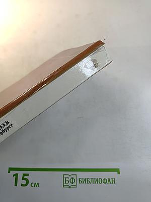 Менделеев в Петербурге