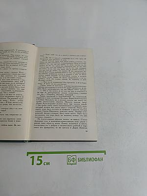 Анна Каренина. Том девятый