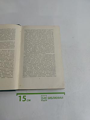 Собрание сочинений. Том пятый. Произведения 1914-1928