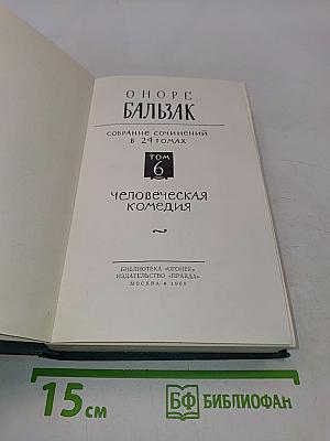 Собрание сочинений в 24 томах. Том 6. Человеческая комедия