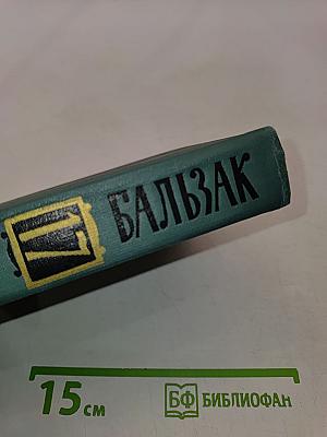 Человеческая комедия. Том 17. Сцены сельской жизни