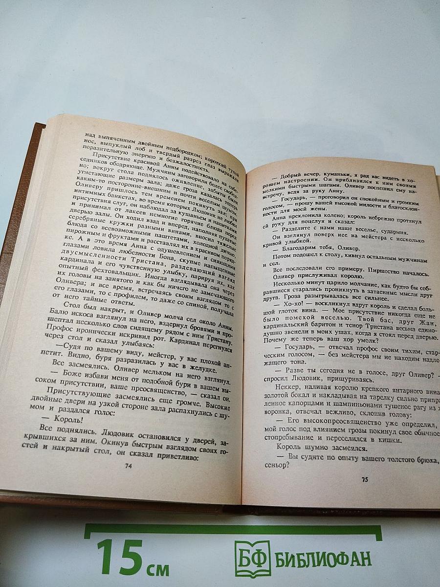 Дьявол. Исторический роман из времен Людовика XI