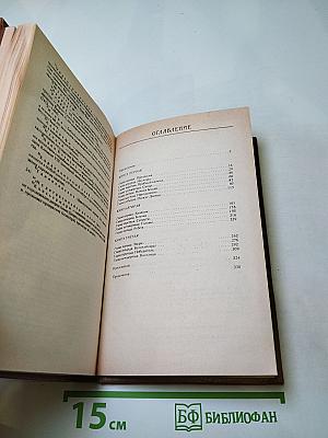 Дьявол. Исторический роман из времен Людовика XI