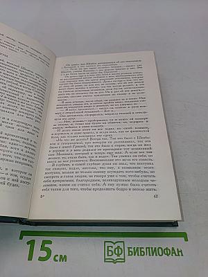 Собрание сочинений в четырнадцати томах. Том тринадцатый. Воскресение