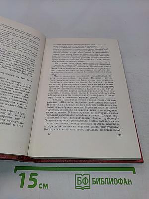Айвенго
