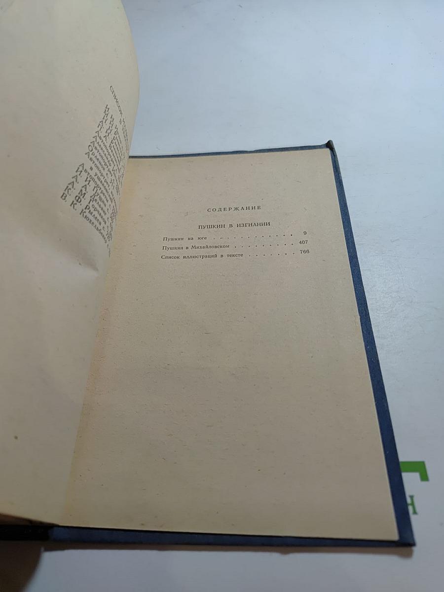 Пушкин в изгнании