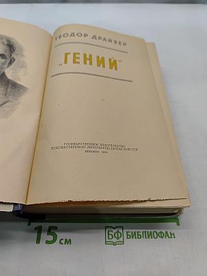 Гений. Книга первая. Юность