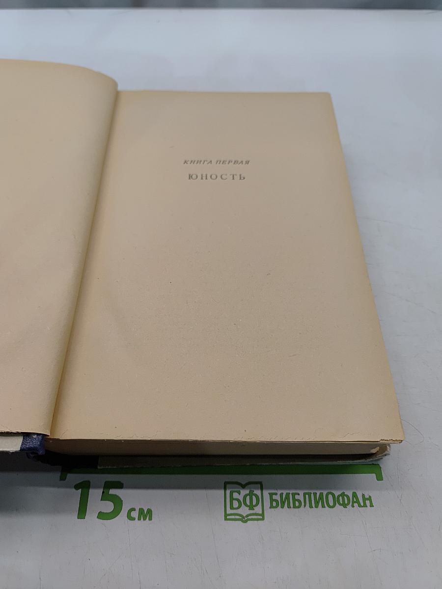 Гений. Книга первая. Юность