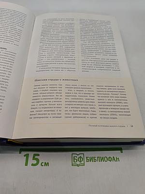 Ваше здоровое сердце