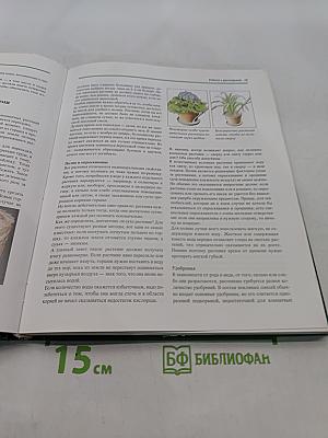 Все о комнатных растениях