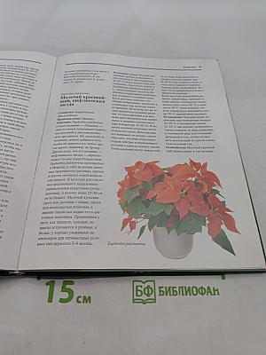 Все о комнатных растениях