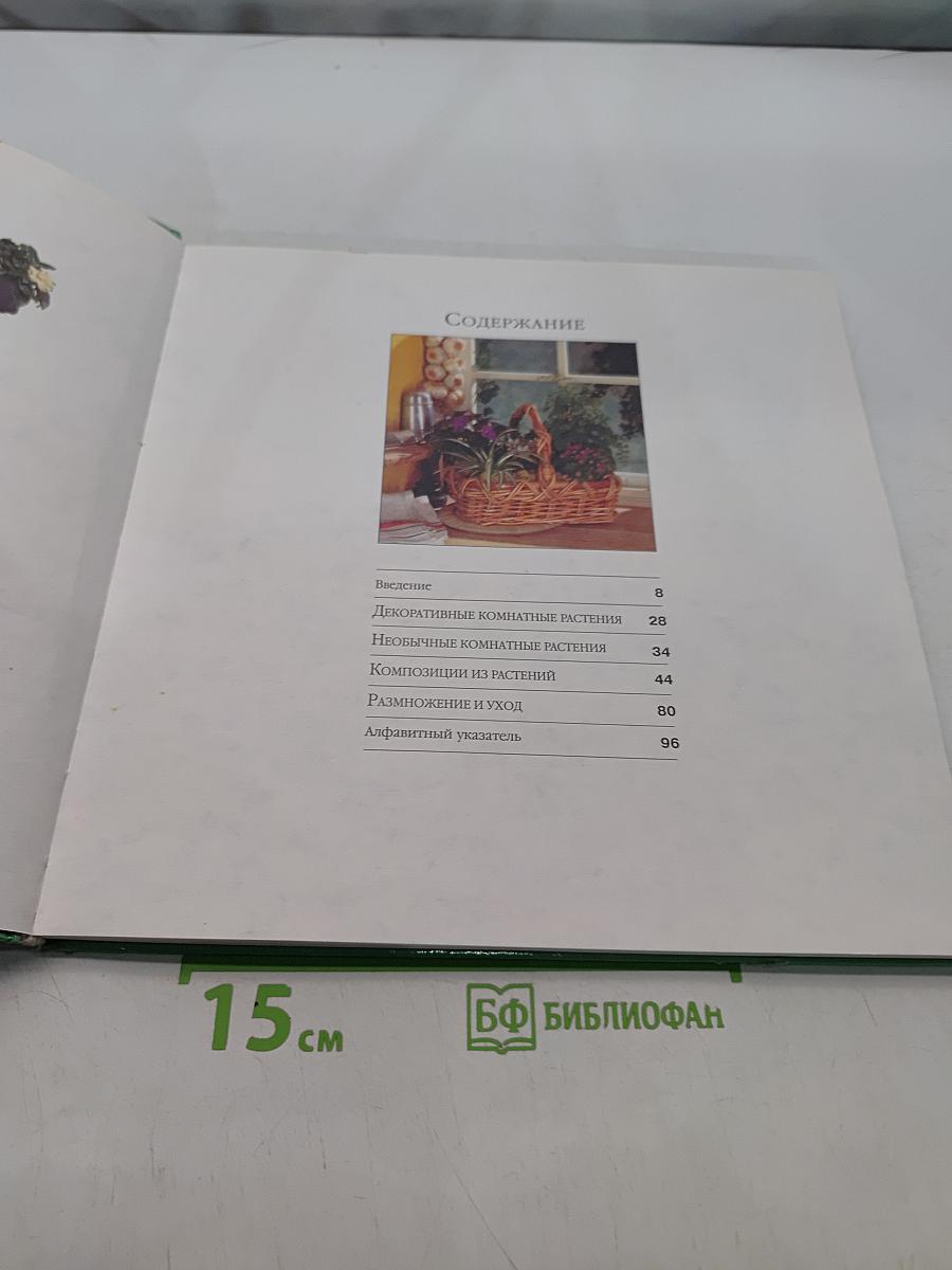 Растения в интерьере