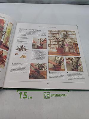 Растения в интерьере