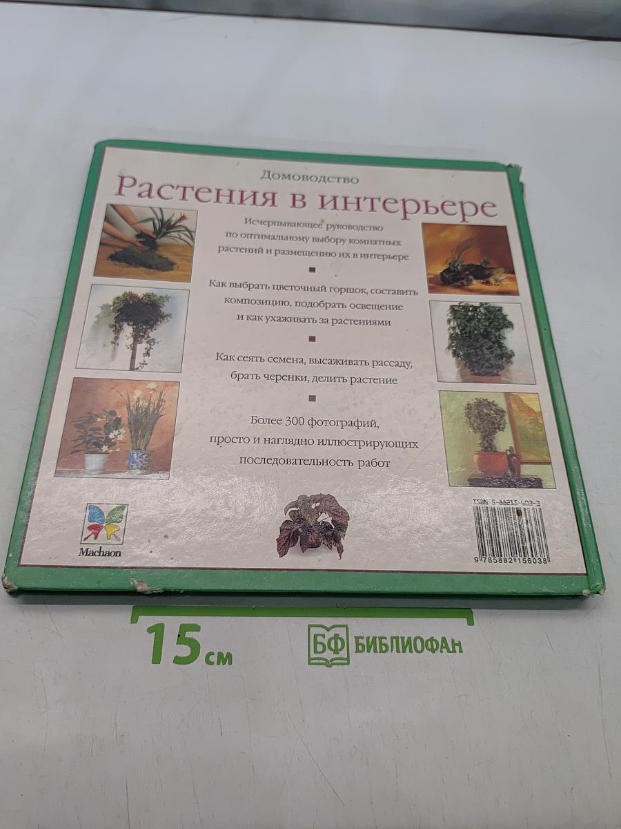 Растения в интерьере