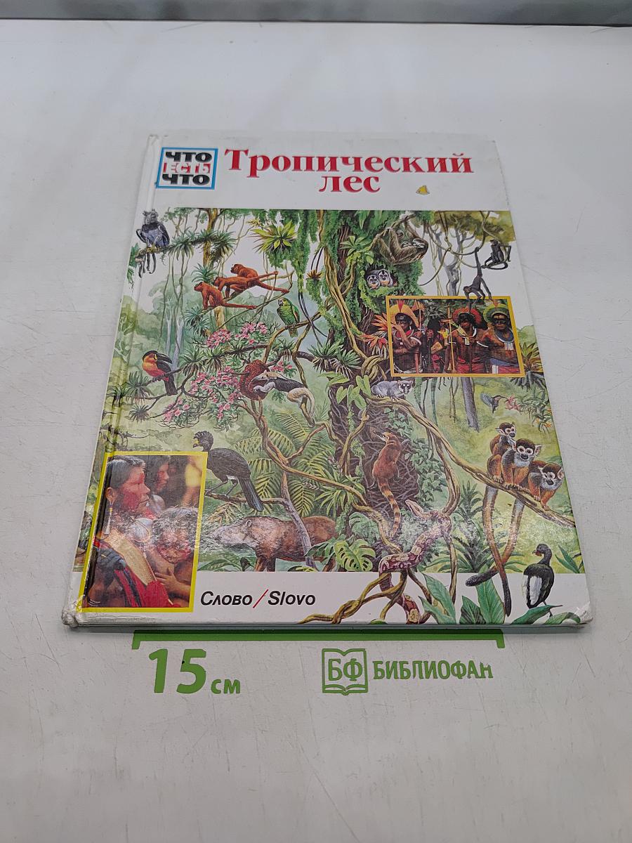 Тропический лес