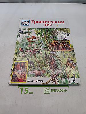 Тропический лес