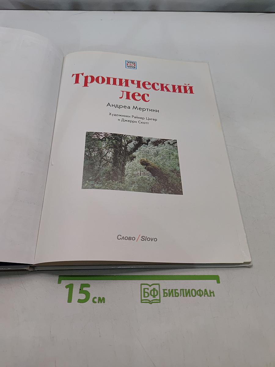 Тропический лес