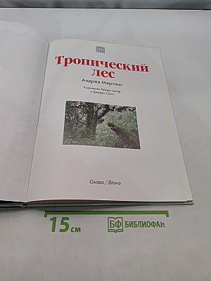 Тропический лес