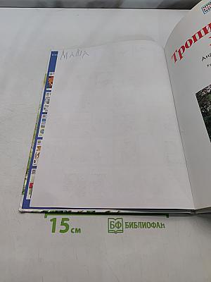 Тропический лес