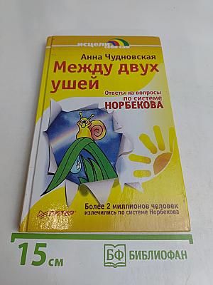 Между двух ушей