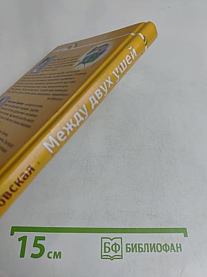 Между двух ушей