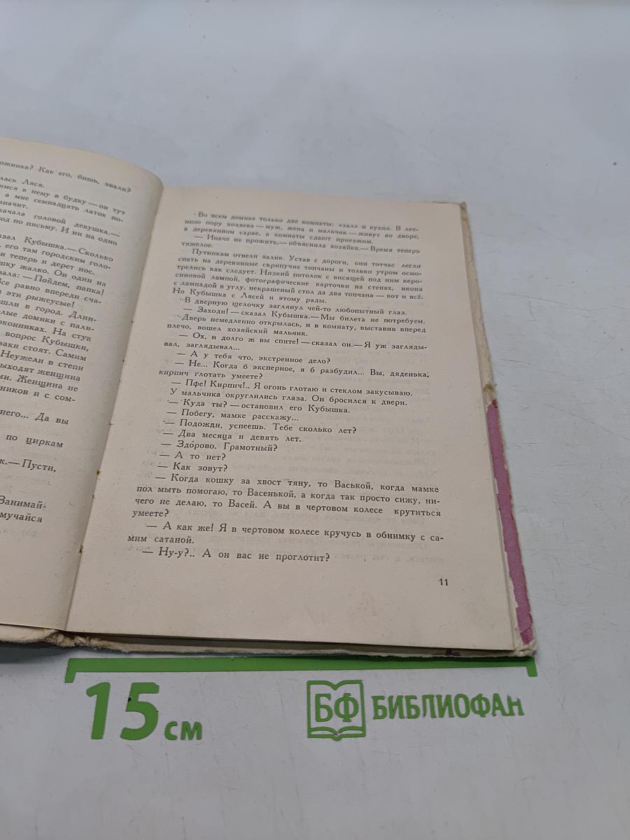 Золотые туфельки