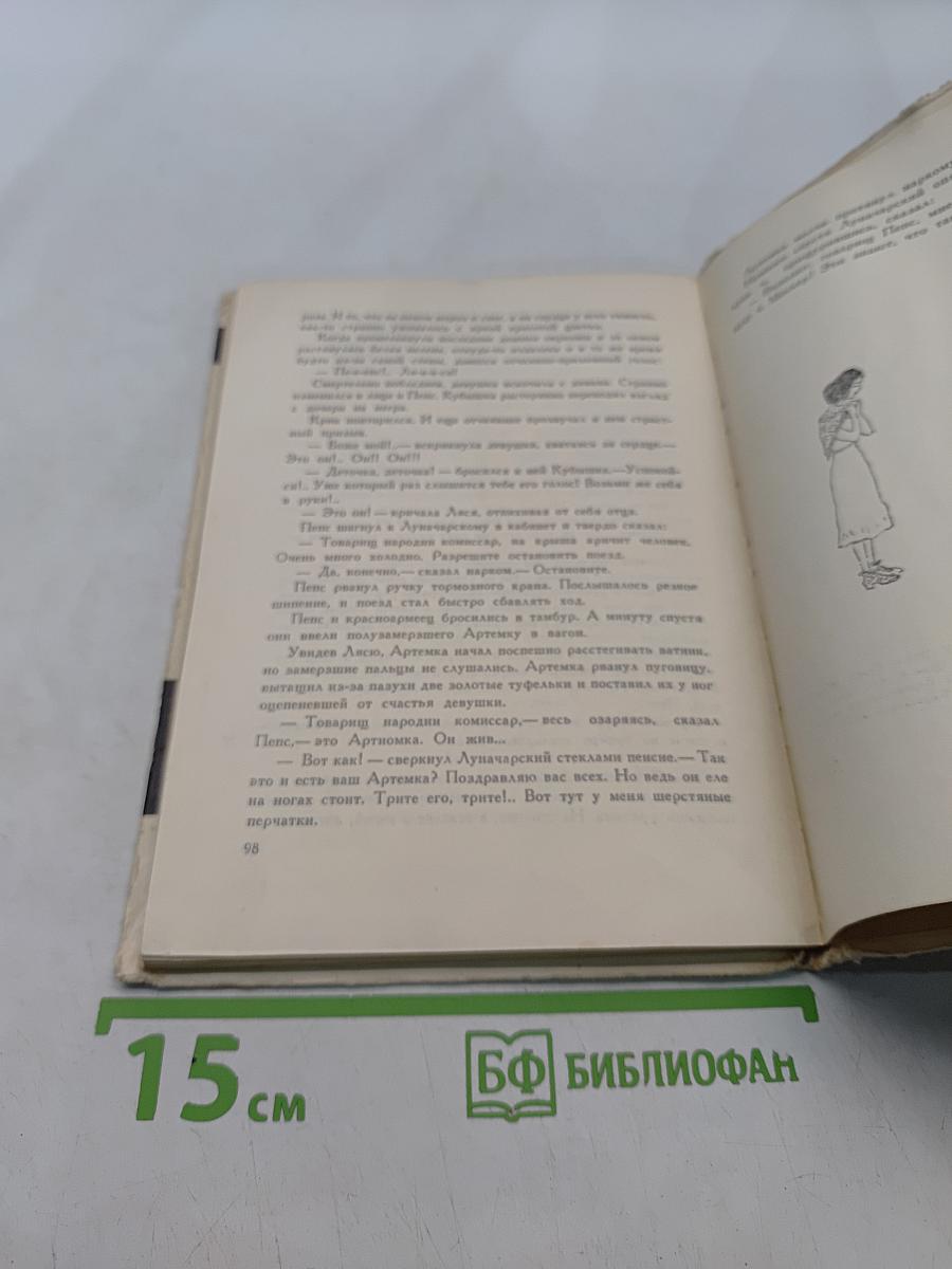 Золотые туфельки