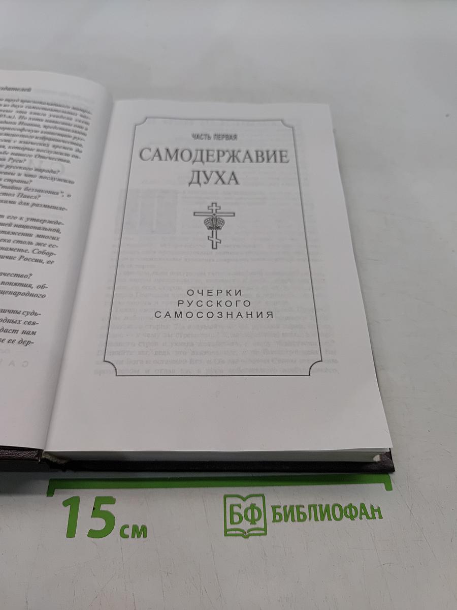 Русская симфония. Очерки русской историософии