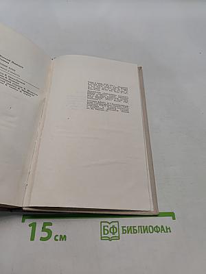 Теплый хлеб